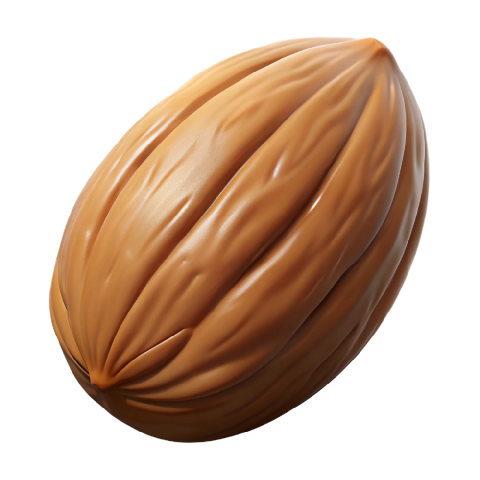 elegant creative Single almond nut authentic png