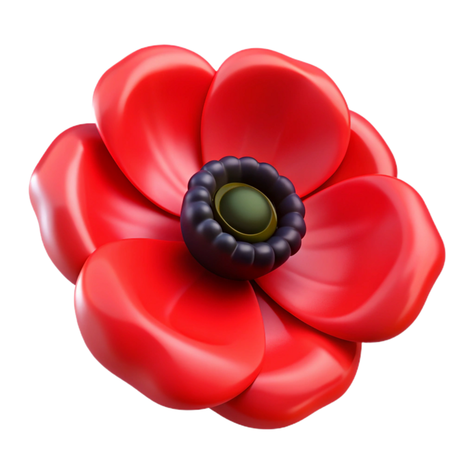 magnificent artistic Red poppy flower with black center high quality png