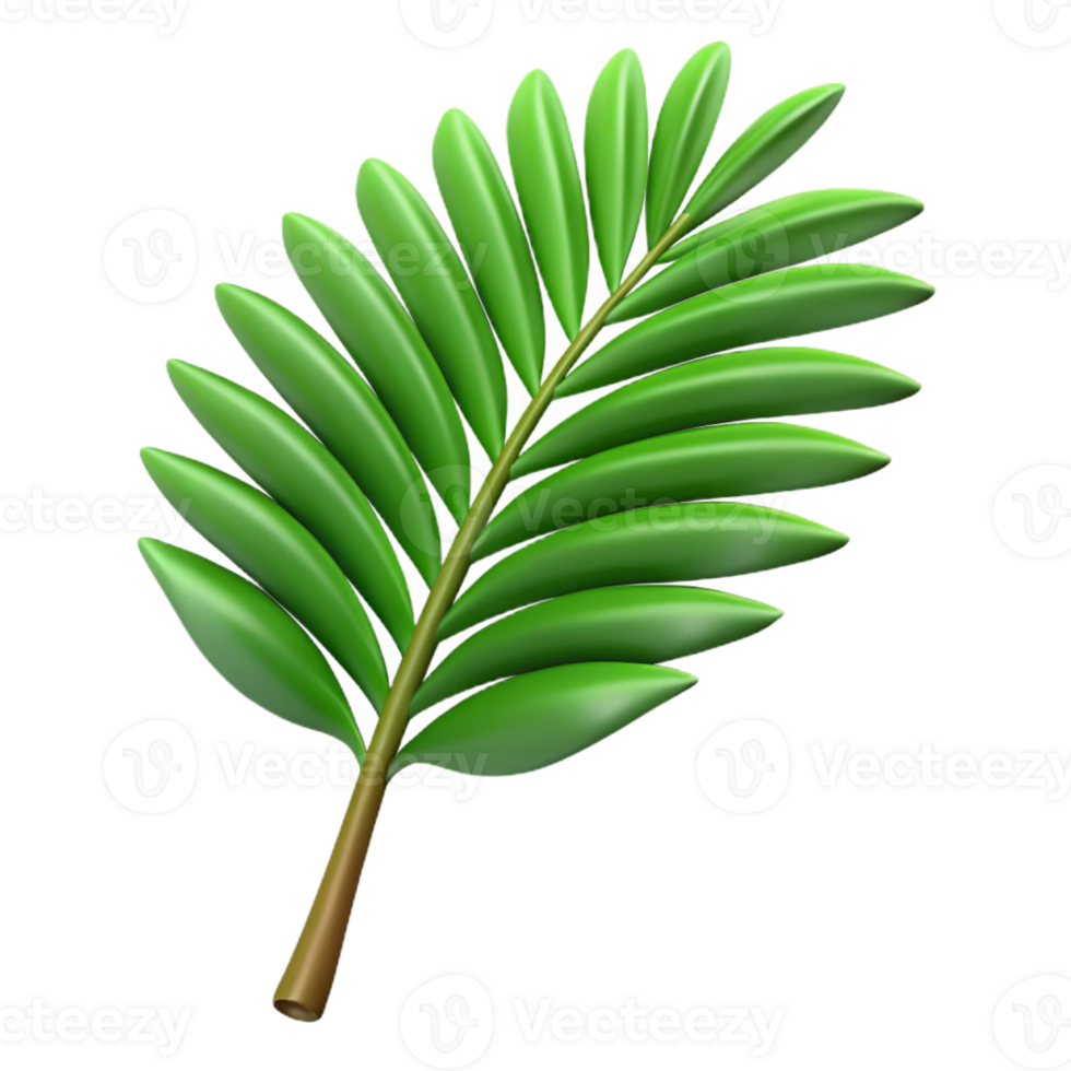beautiful classic Palm leaf genuine png