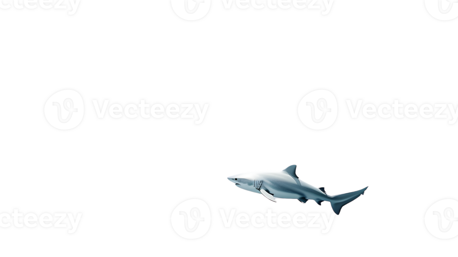Marine Predator in Motion A Detailed Illustration of a Swimming Shark on Black Background for png