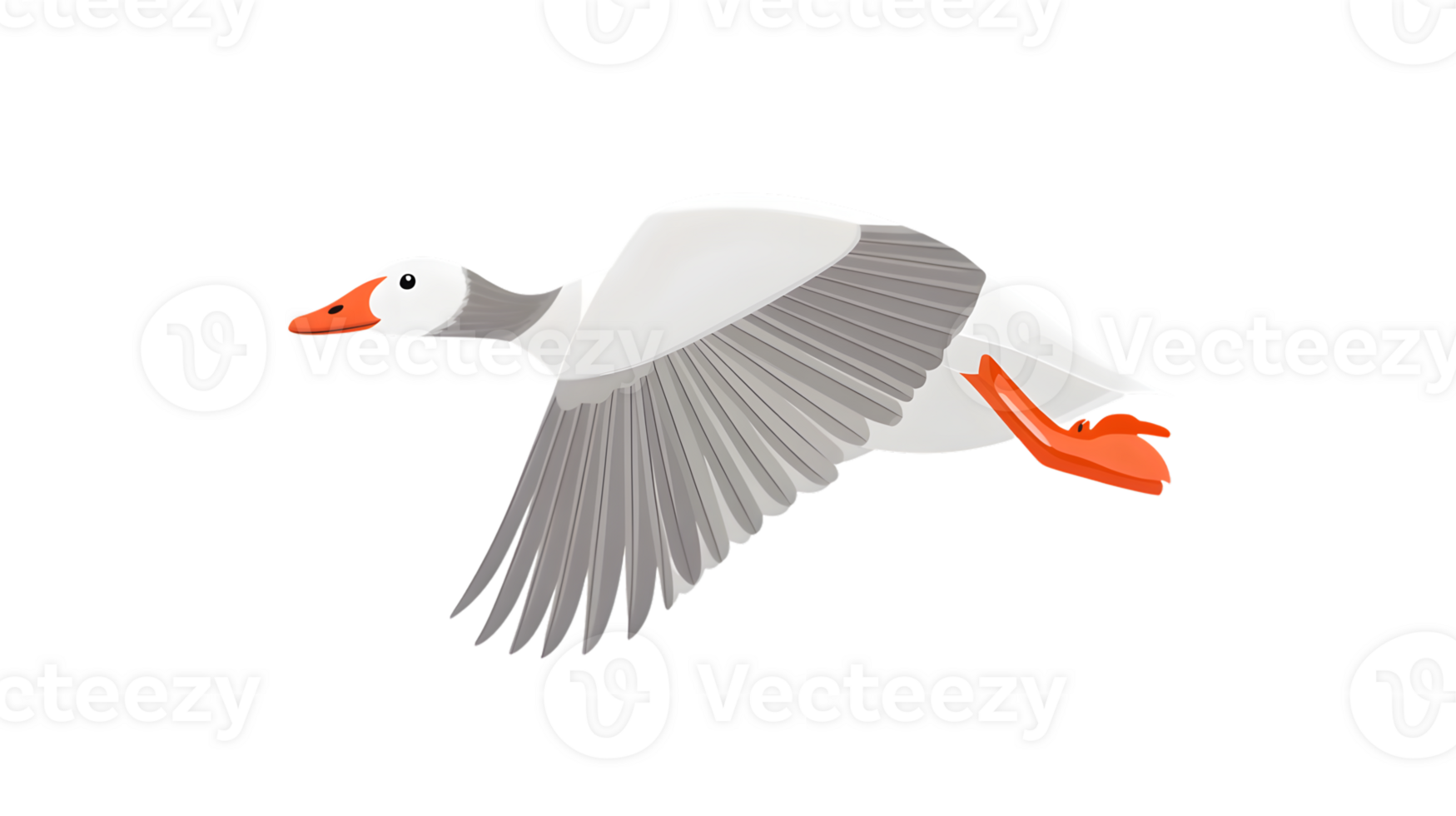 A bird in flight with vibrant orange beak and feet showcasing detailed wingspan against a blac png