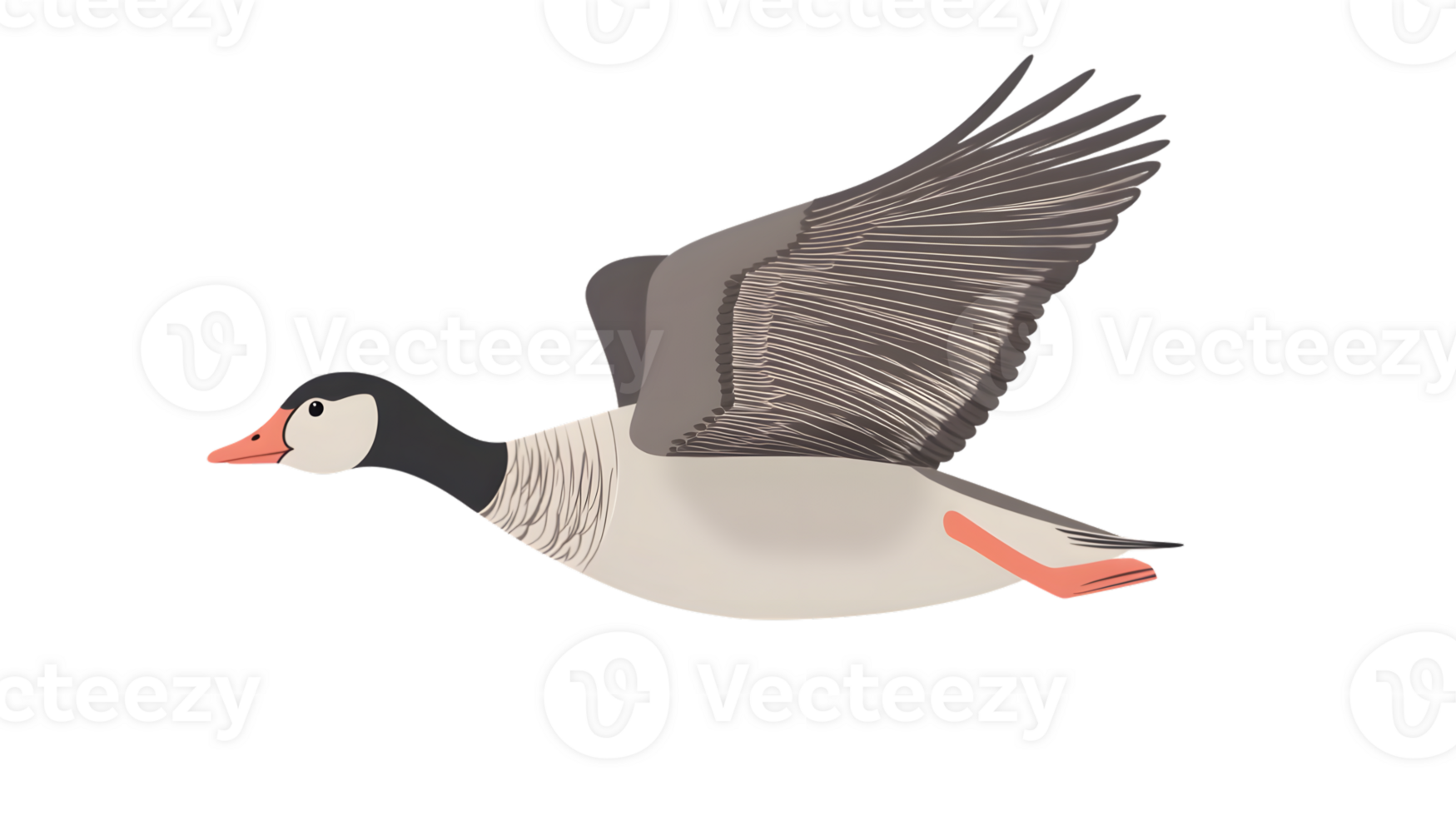 A bird in flight with detailed wings perfect for nature and wildlife themes png