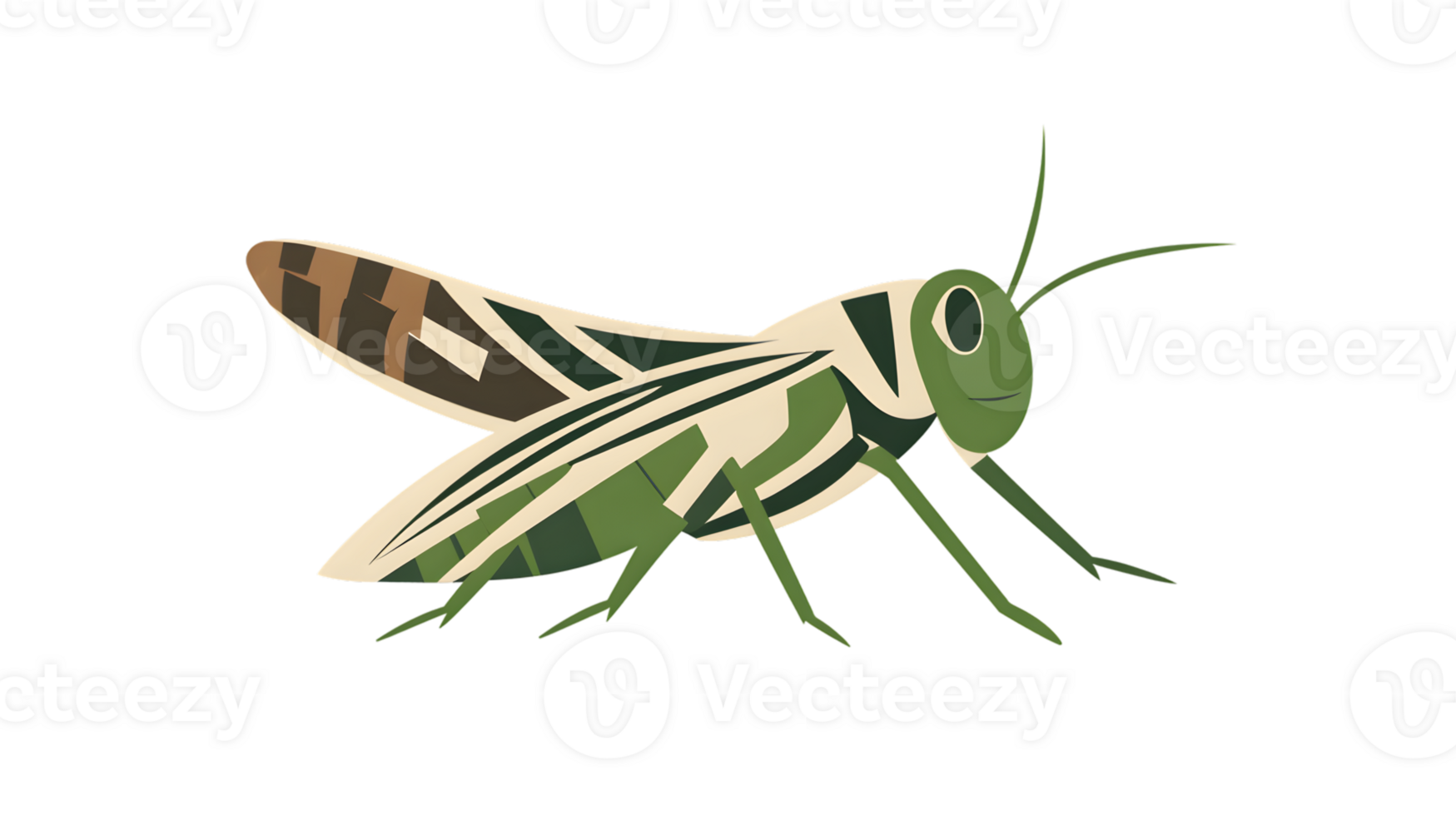A detailed illustration of a grasshopper with vibrant patterns perfect for educational materia png