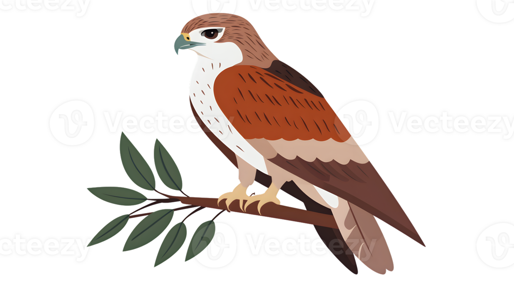 A majestic bird of prey perched on a branch showcasing vibrant plumage and sharp features for png