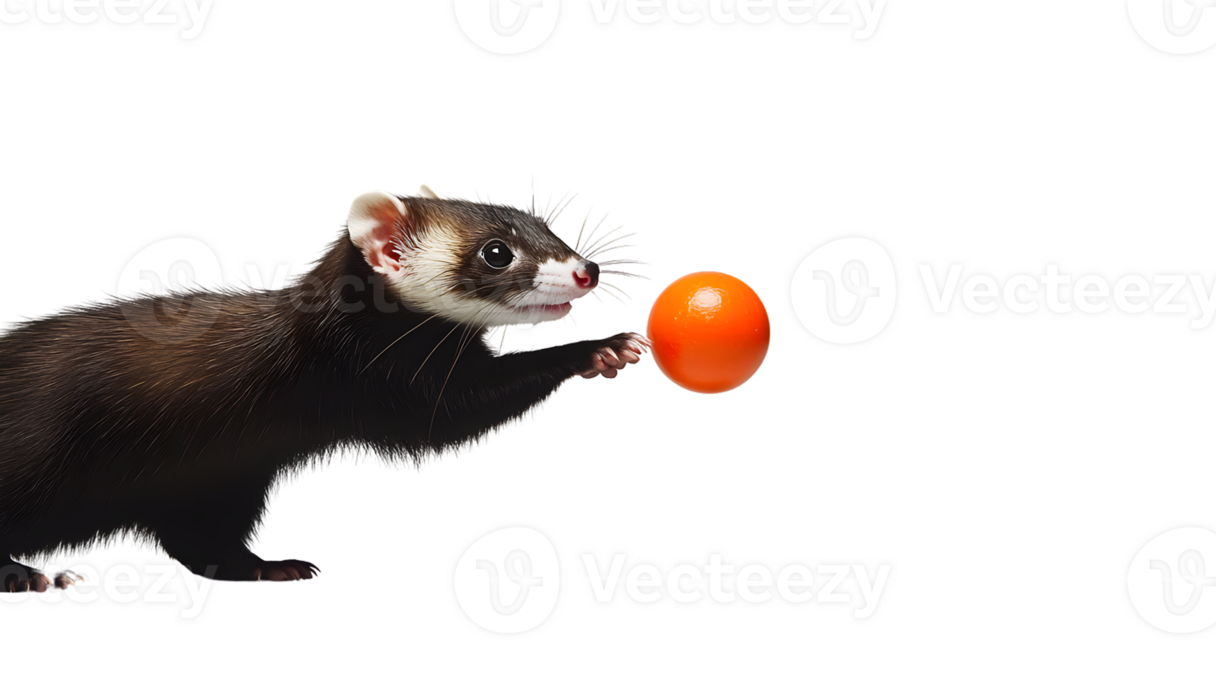 A playful animal interacting with a bright orange ball perfect for themes of fun games and c png