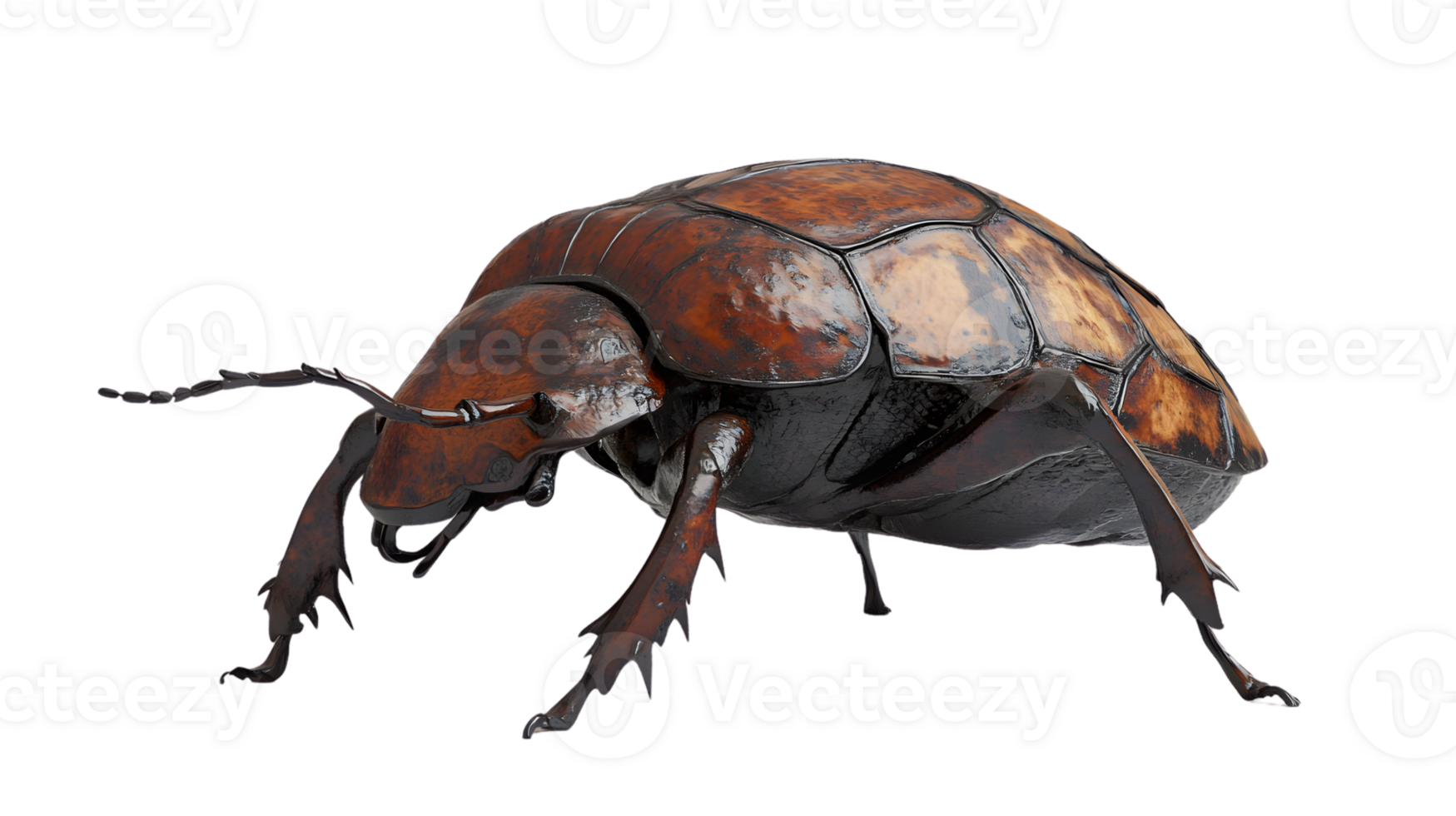 Detailed 3D Render of a Shiny Insect with Metallic Texture and Intricate Design Perfect for Na png
