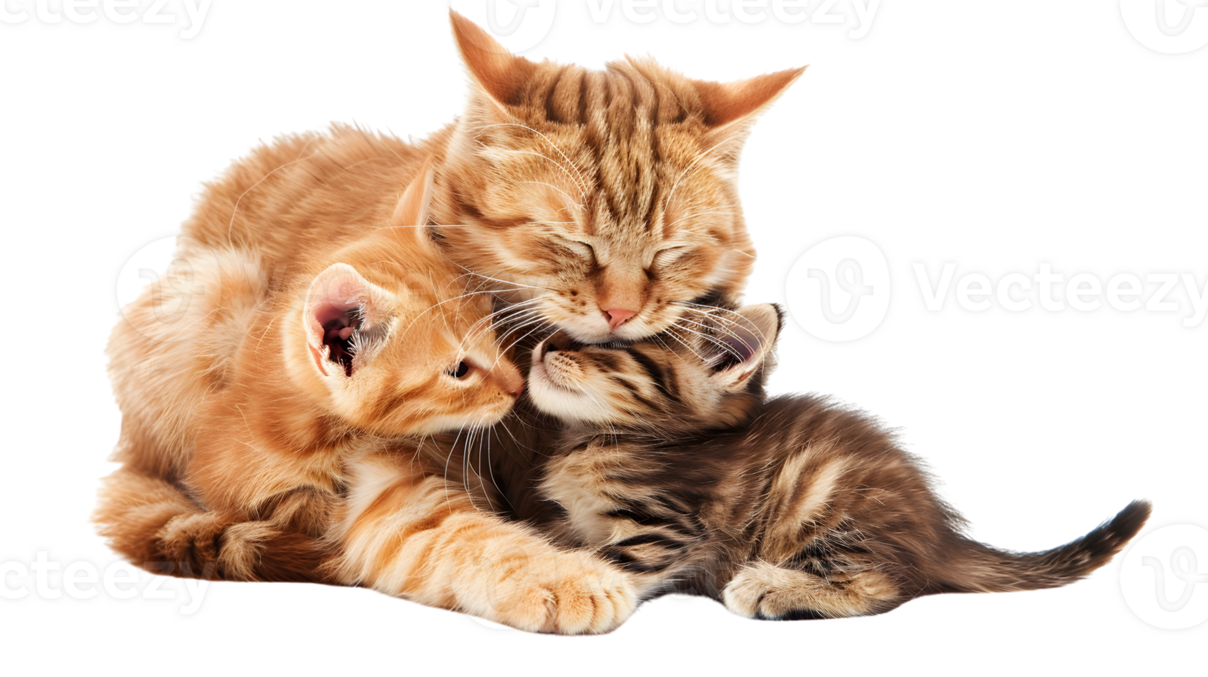 Affectionate Cat Family Huddle Kittens and Mom png