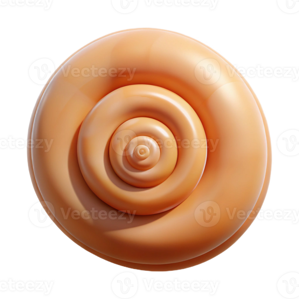elegant artistic Single seashell, spiral shaped detailed png