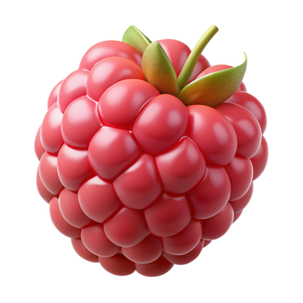 wonderful creative Single raspberry professional png