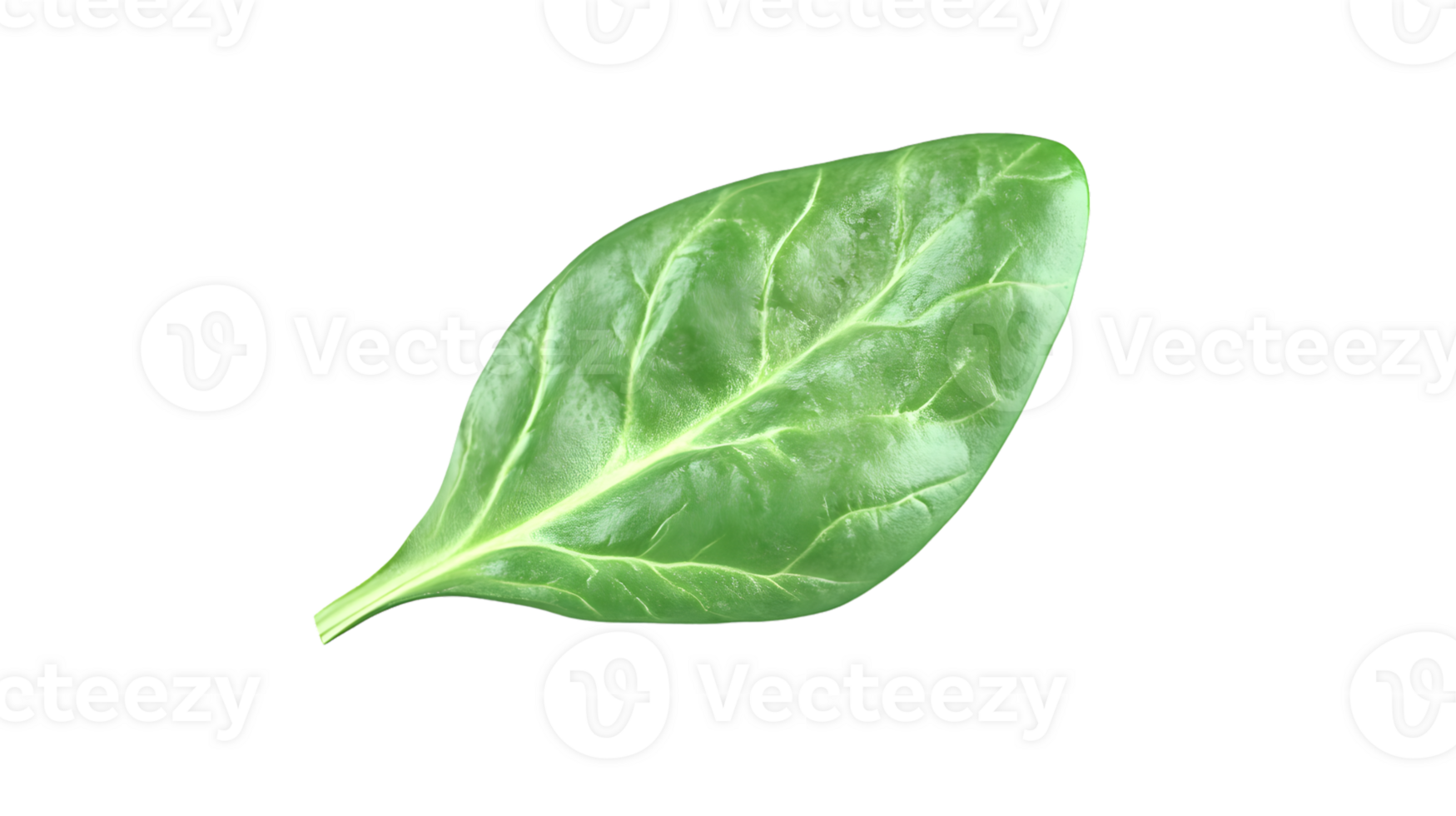 Fresh Green Leaf Isolated on Black Background for Nature Health and Food Themes png