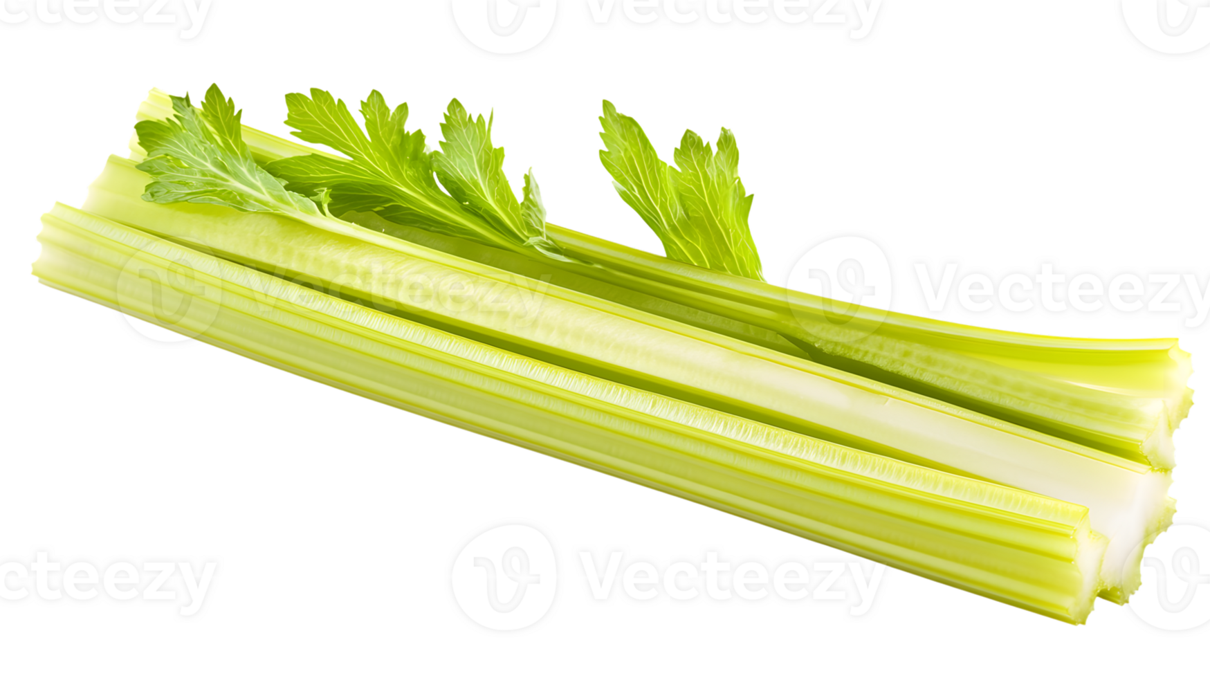 Fresh Green Stalks with Leafy Toppings Isolated on Black Background for Culinary and Health The png