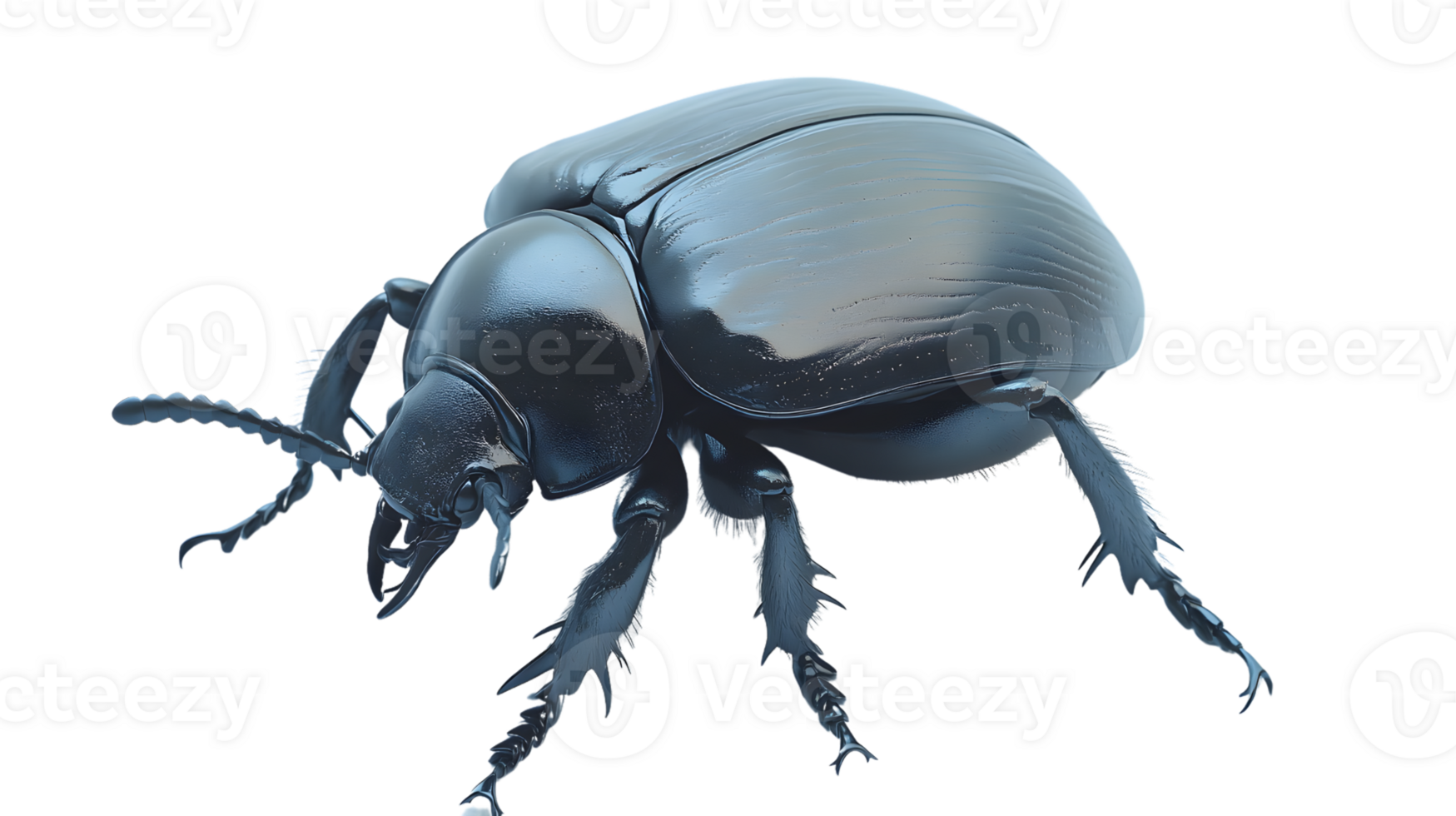 Detailed 3D Illustration of an Insect with Shiny Exoskeleton and Visible Legs for Educational o png
