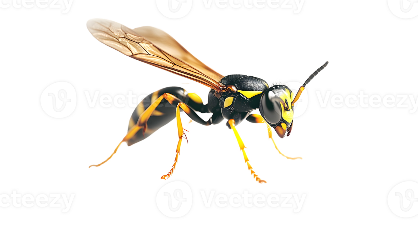 Detailed CloseUp of a Flying Insect with Vibrant Colors and Intricate Features Ideal for Natu png