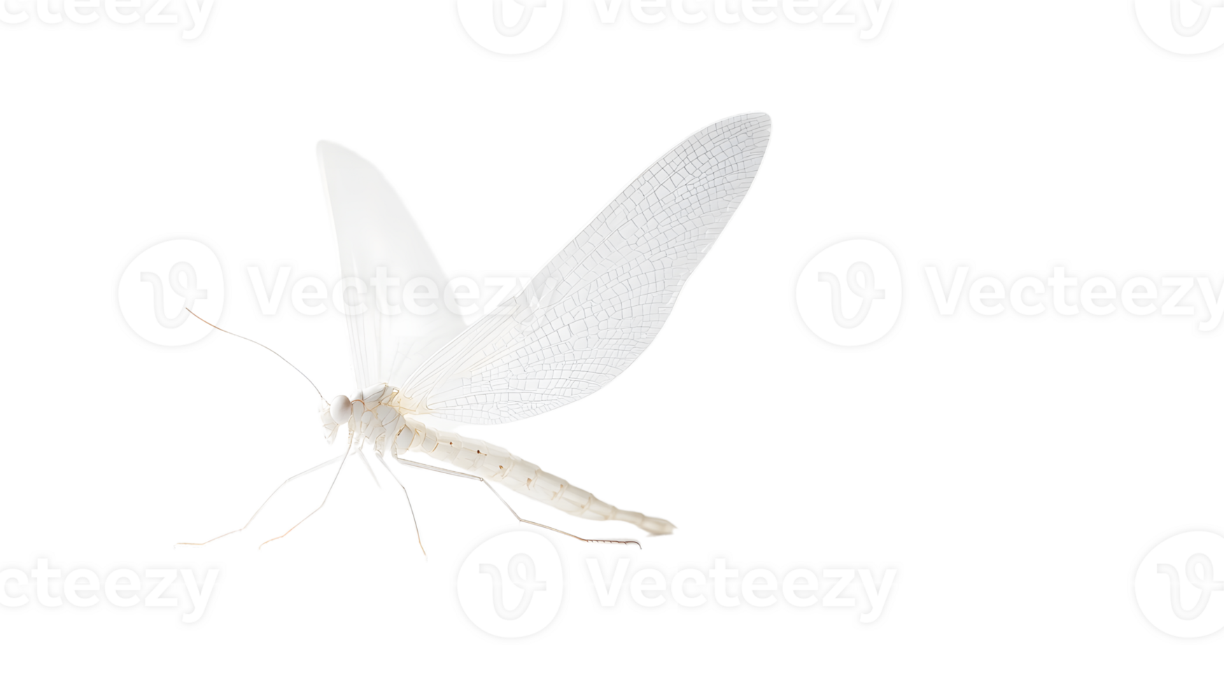 Elegant White Insect with Detailed Wings on Abstract Background Perfect for Nature and Design png