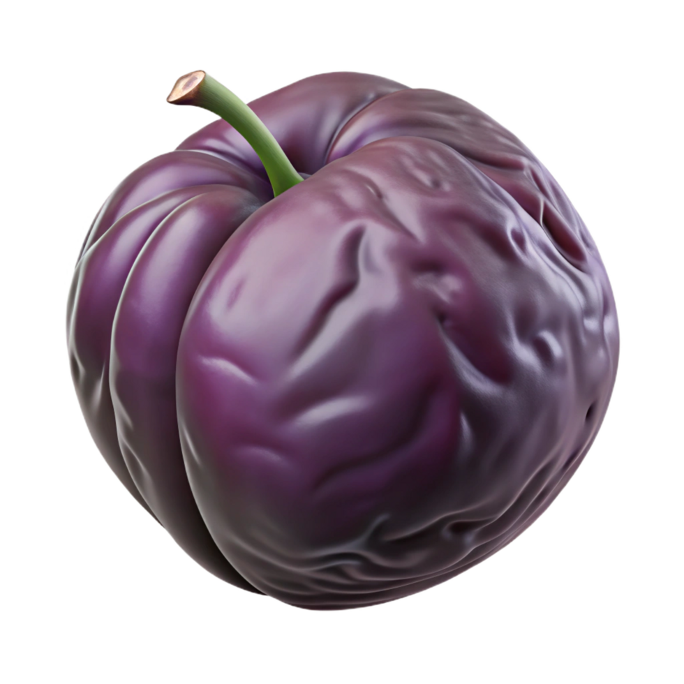 dramatic minimalist Prune dried plum high resolution png