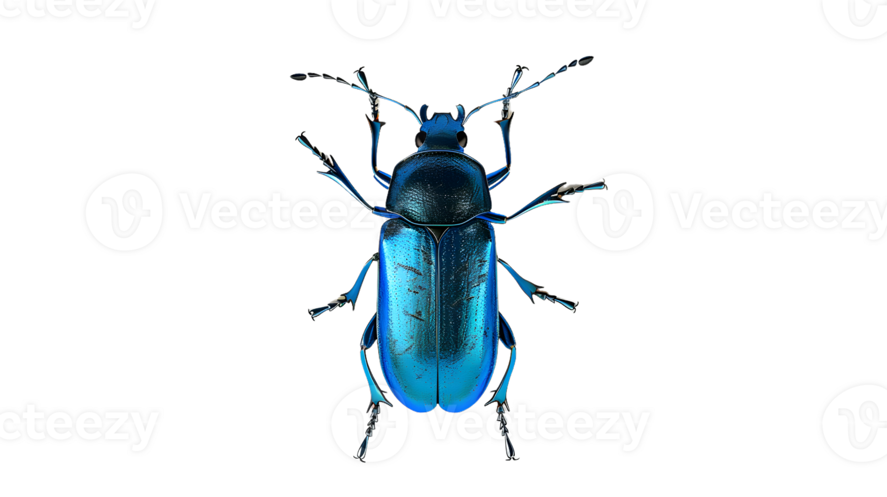 Vibrant Blue Insect with Metallic Sheen on a Black Background png