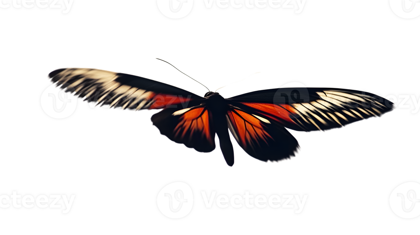 Vibrant Butterfly with Detailed Wings Spread Against a Dark Background png