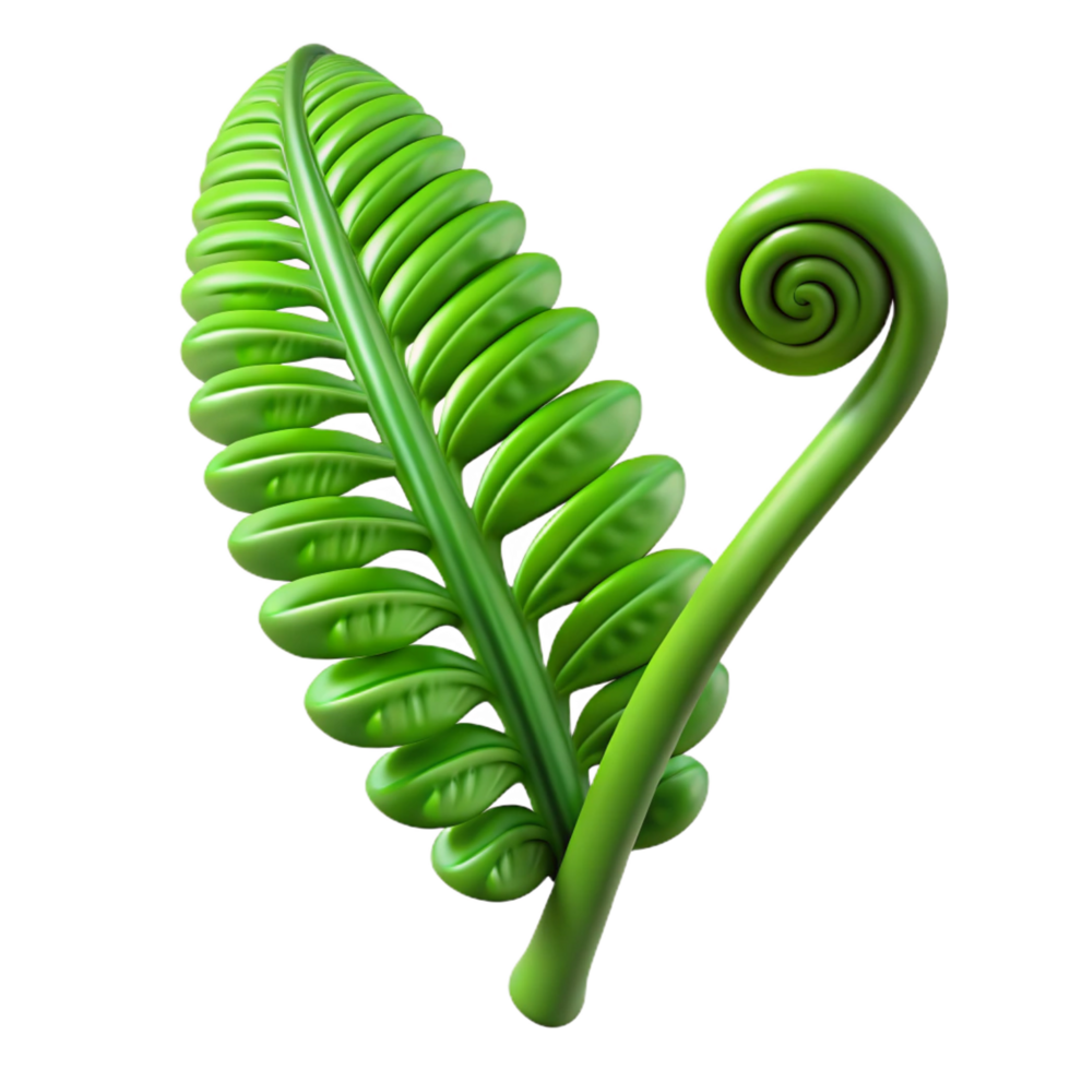 elegant modern Green fern frond unfurling premium png