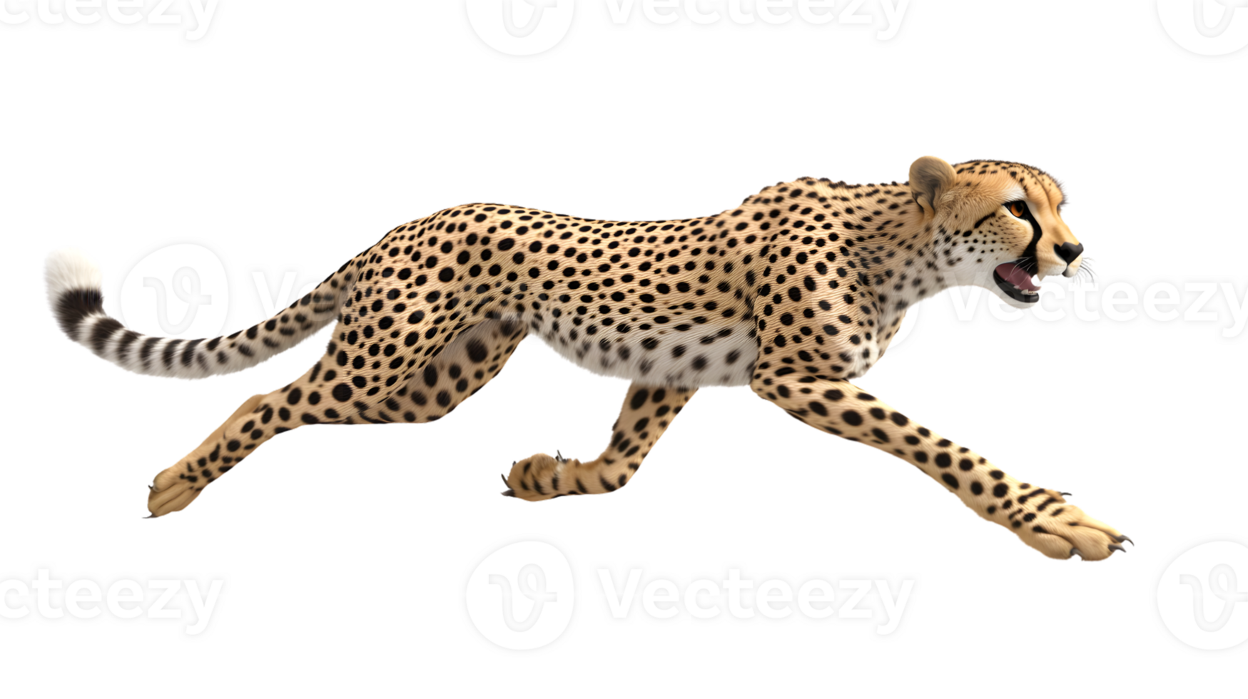 A spotted feline in midstride showcasing its agility and power against a stark background png
