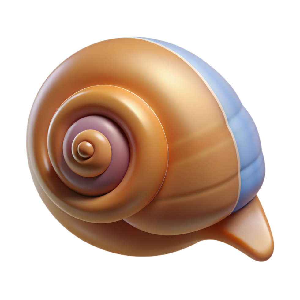 stunning minimalist Snail shell high resolution png