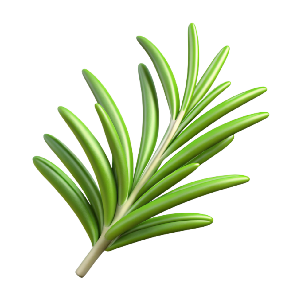 dramatic modern Sprig of rosemary 4K png