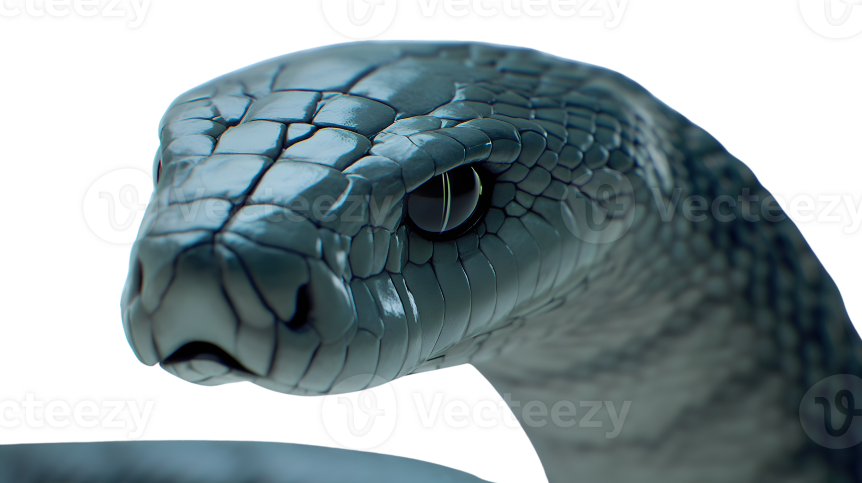Detailed CloseUp of a Serpents Head with Intricate Scales and Intense Gaze Ideal for Wildlif png