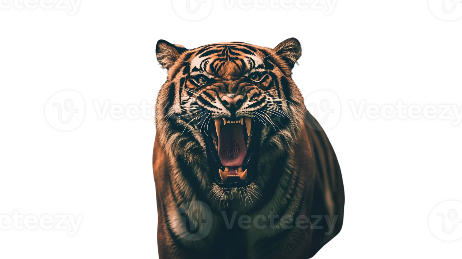 Fierce Tiger Roaring with Open Mouth Displaying Sharp Teeth and Intense Eyes on a Black Backgr png