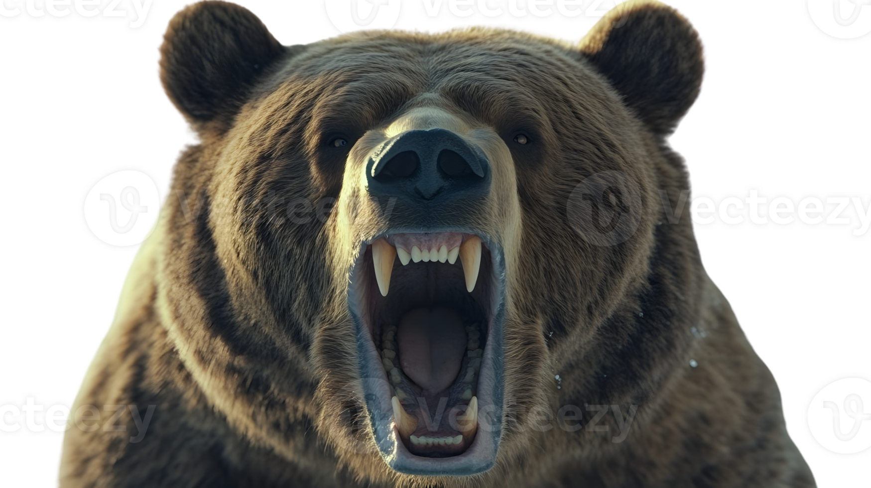 Grizzly Bear Roaring CloseUp Wildlife Photography Nature Image Animal Portrait png