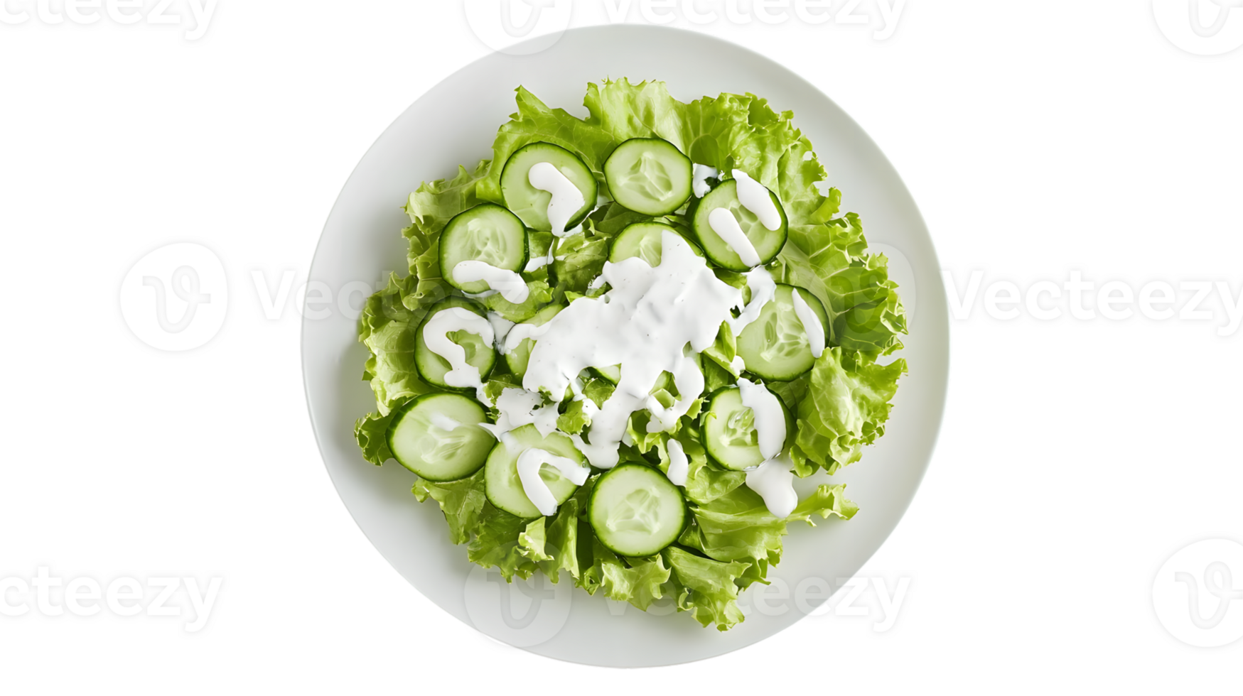 Fresh Green Salad with Cucumber Slices and Creamy Dressing on a White Plate png