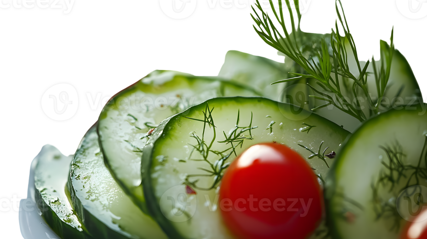 Fresh Cucumber and Tomato Salad with Dill Garnish Close Up Macro Photography png