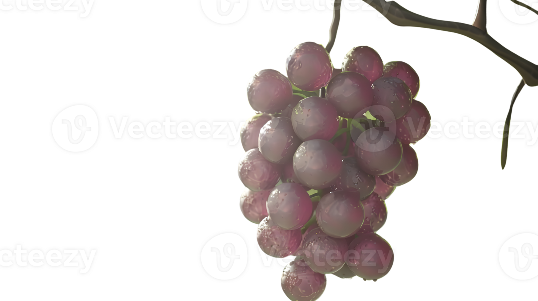 A cluster of fresh dewcovered grapes hanging from a vine ideal for culinary and natural them png