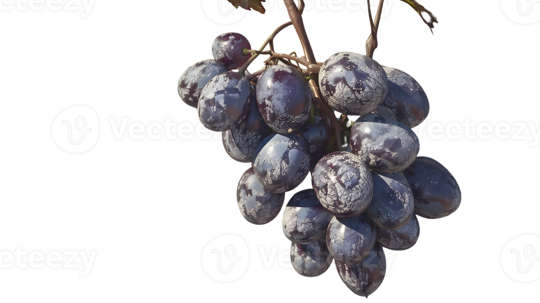 A cluster of ripe dark grapes with a glossy finish perfect for culinary and natural themes png