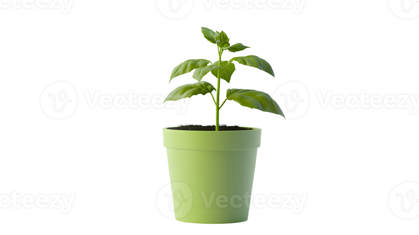 A vibrant green potted plant with lush foliage ideal for home decor and gardening enthusiasts png