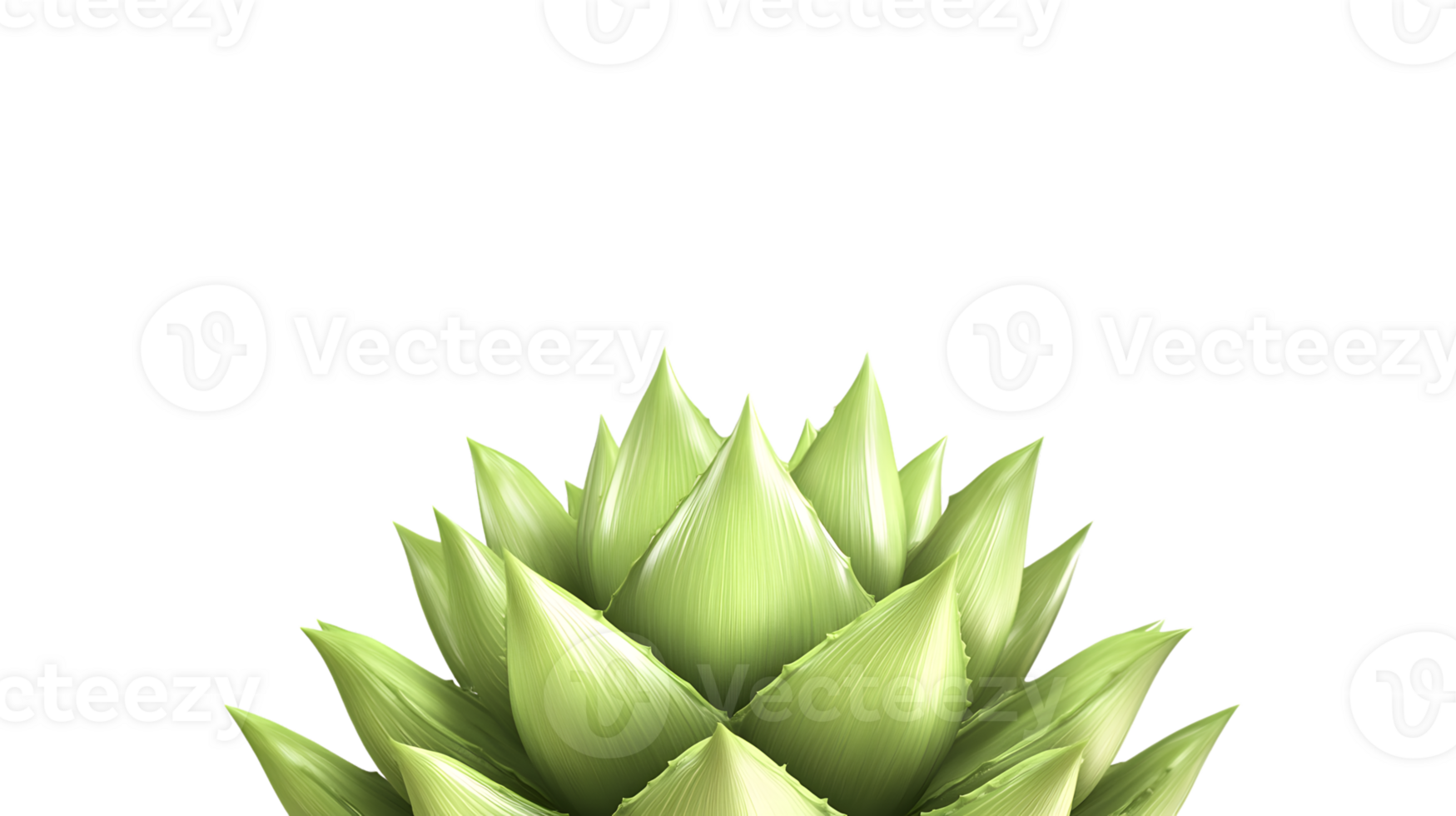 A vibrant green succulent plant with sharp pointed leaves against a black background png