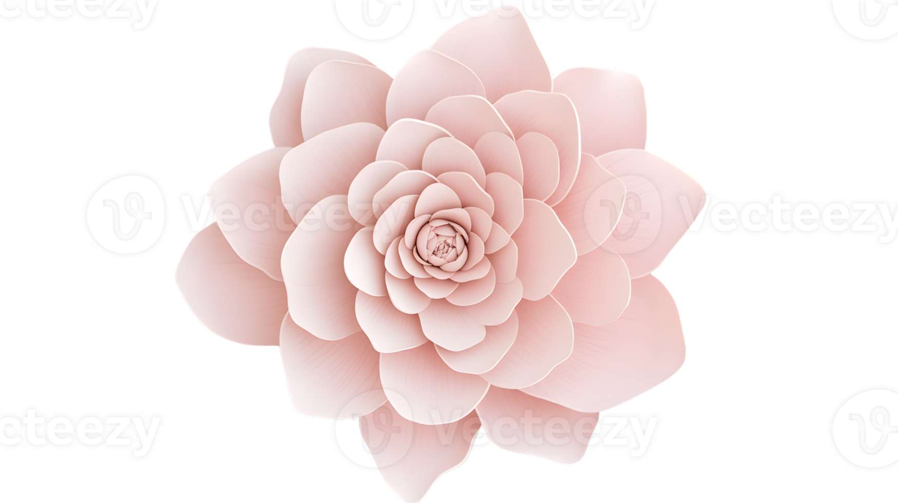 Delicate Pink Flower with Soft Petals Ideal for Nature and Floral Designs Perfect for Backgro png