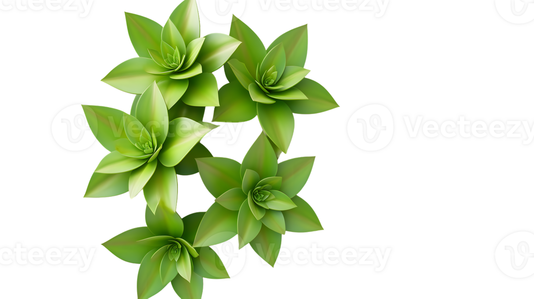 Five Vibrant Succulent Plants Isolated on Black Background for Design and Decor Projects png