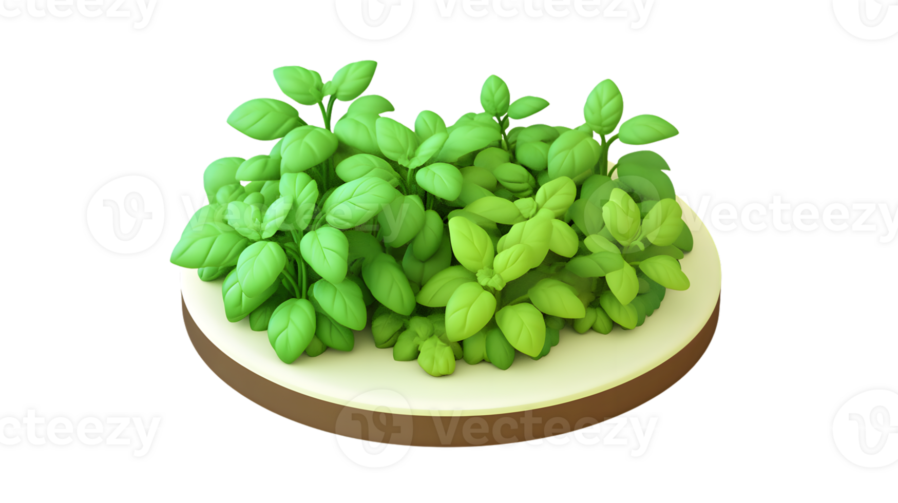 Fresh Green Herbs on a Wooden Base for Culinary and Decorative Purposes png