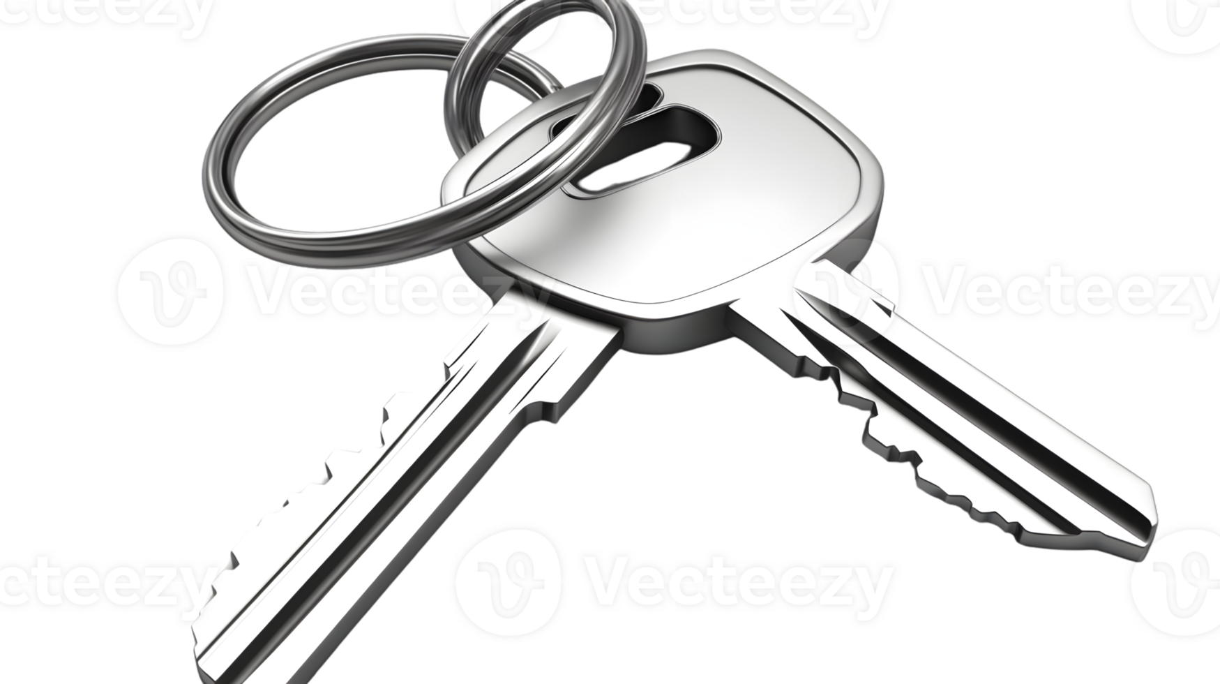 Two Shiny Metallic Keys on a Key Ring Security and Access Concept for Home Office or Vehicle png