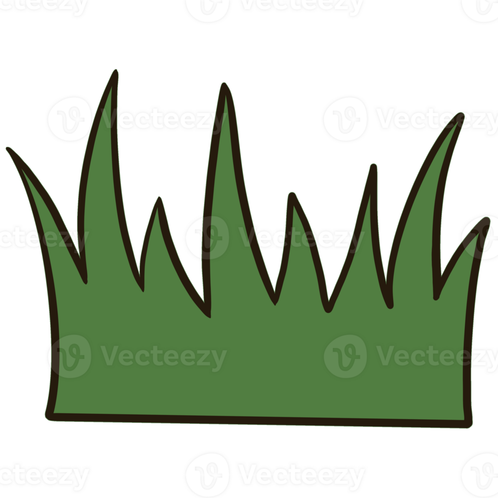 Tall dark green grass collage png