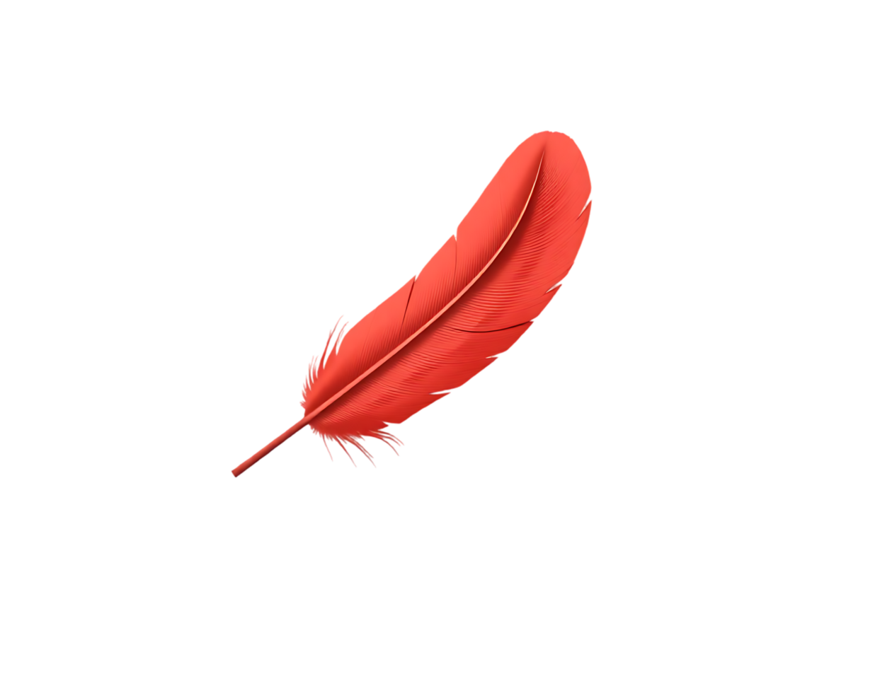 Red feather isolated on transparent background png