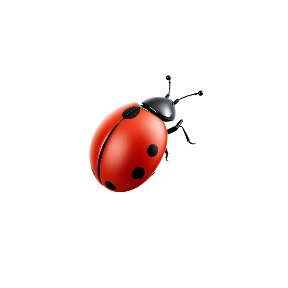 Close-up of a red ladybug with black spots isolated on a transparent background png