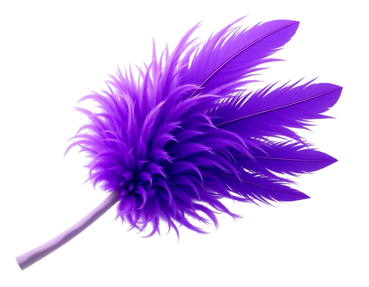 Elegant Purple Feather Object png