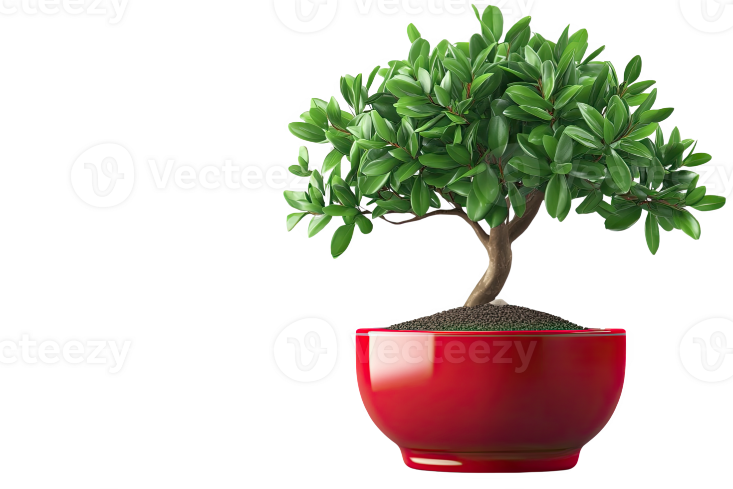 A small plant in a red pot png