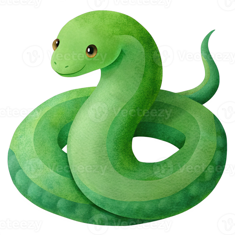 Cute Hand Drawn Watercolor illustration and Transparent of a Chubby Snake png