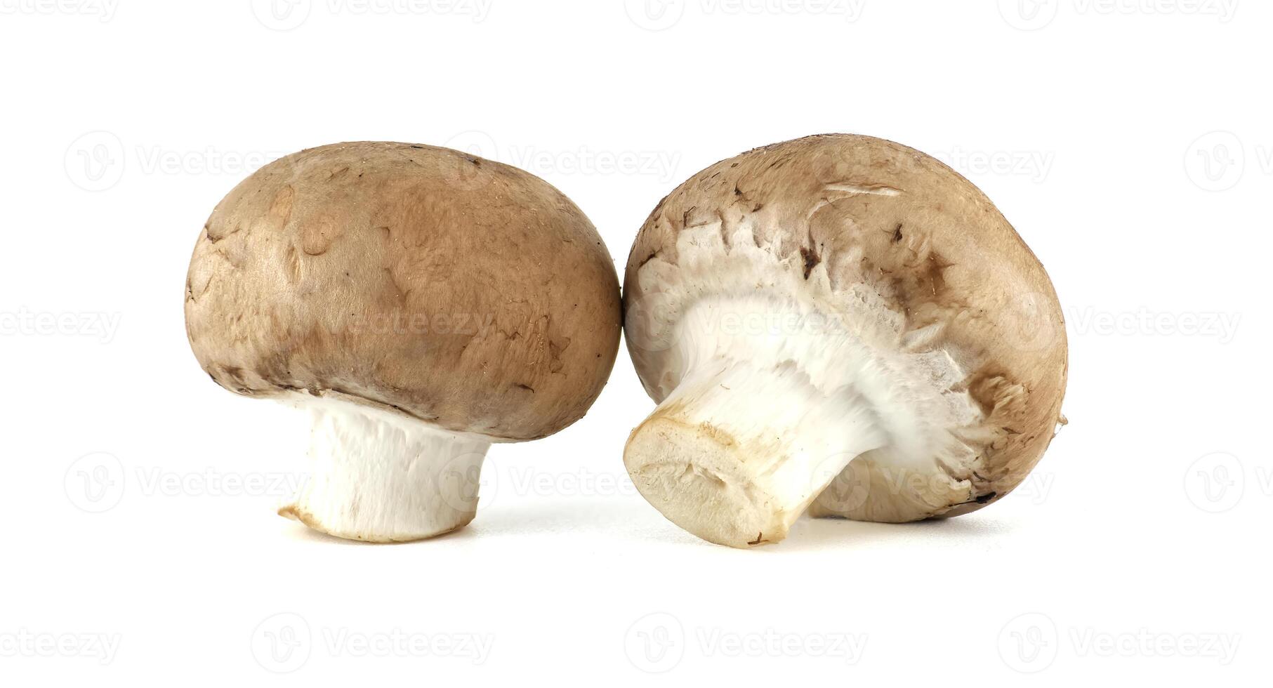 Fresh Champignon Mushrooms Isolated on White Background in Bright Studio Lighting photo