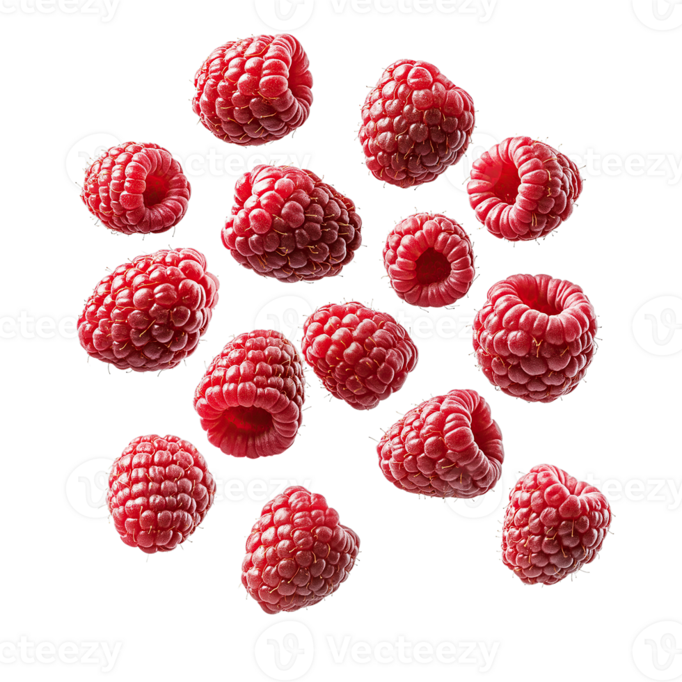 Raspberry Floating isolated on white background, transparent background png