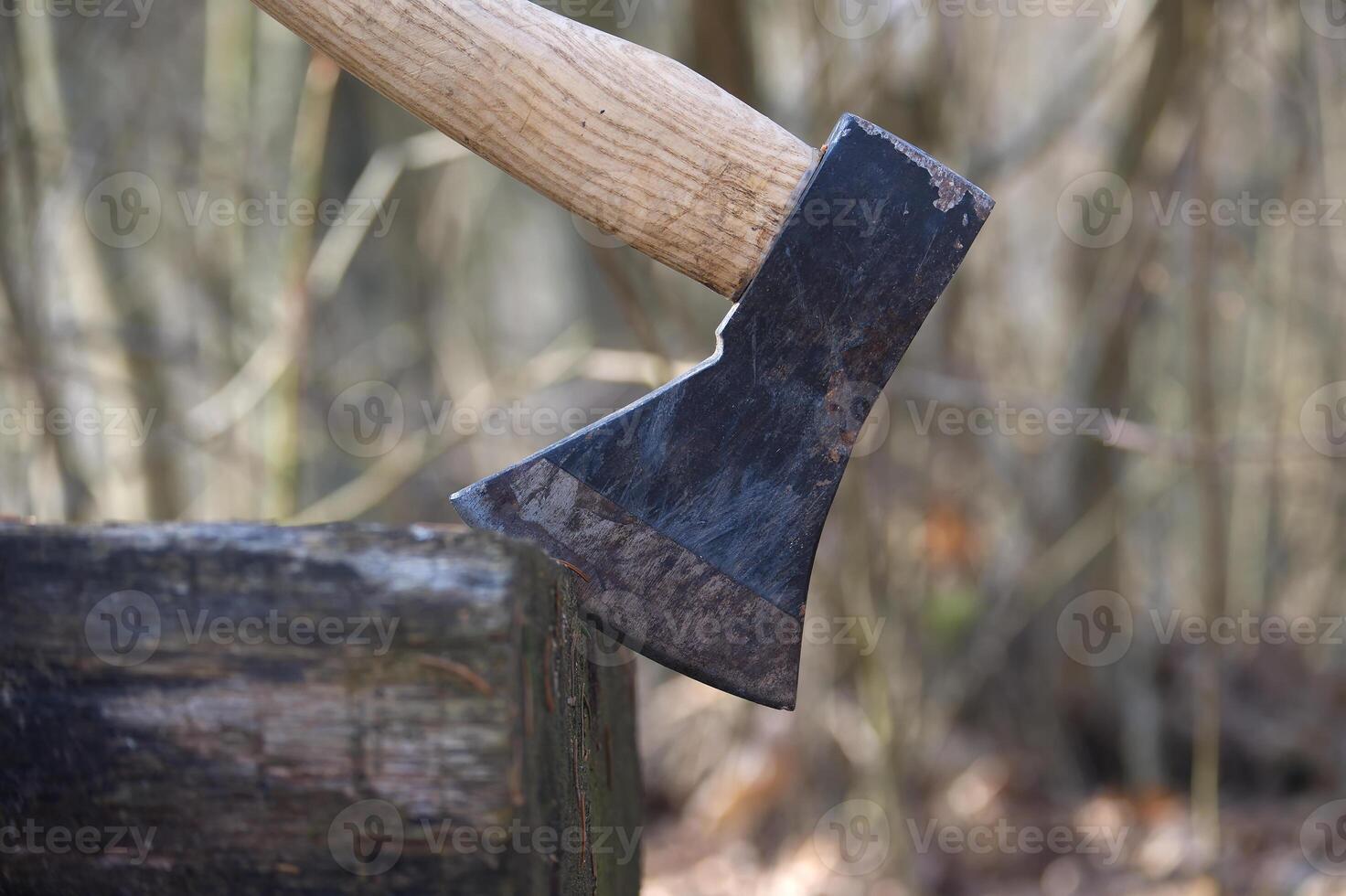 A sturdy axe is lodged into a wooden block in a forest, ready for chopping wood. photo