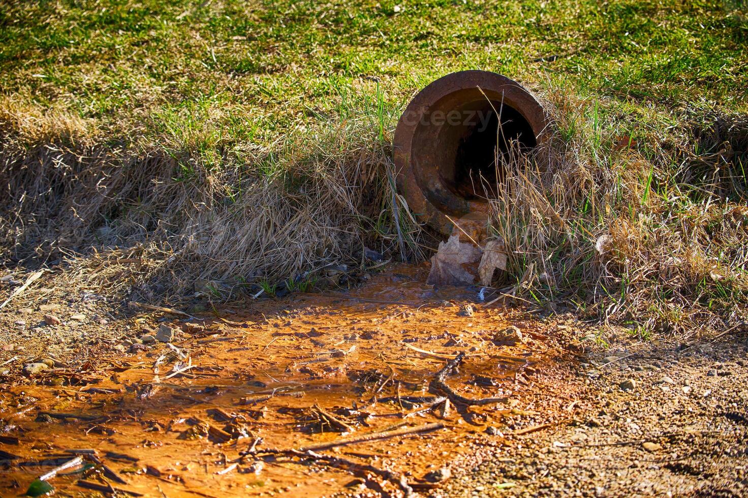 Polluted Water Flowing From a Rusty Drain Pipe Into Contaminated Soil in a Natural Environment photo