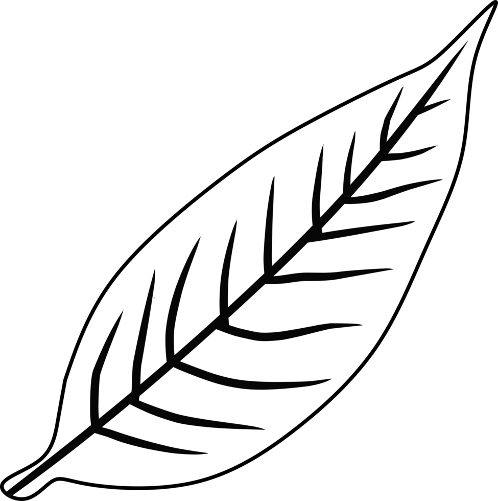 Black and White Leaf Outline Drawing with Textured and Vein Details. leaf outline draw png