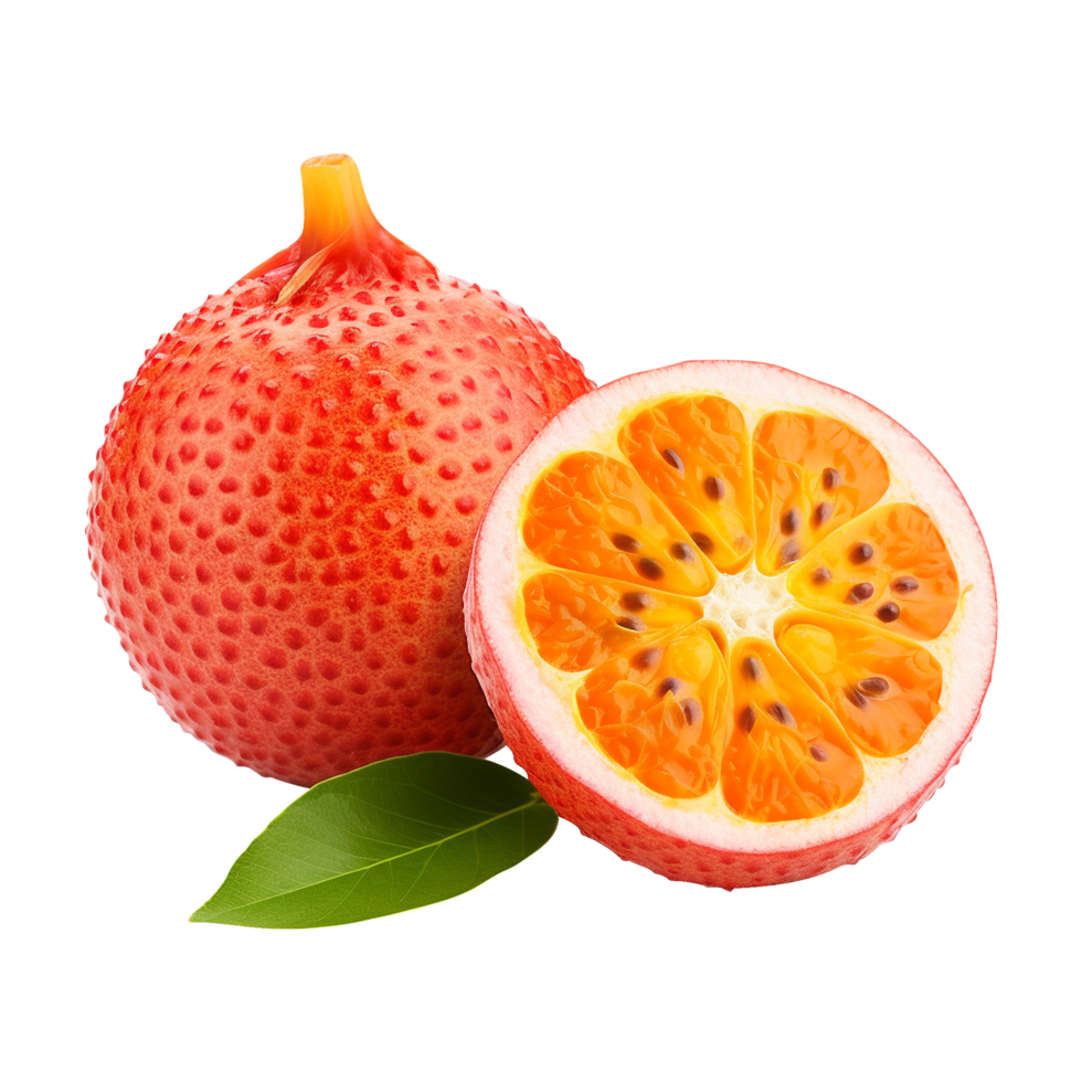 Reddish orange gac fruit with rough skin png